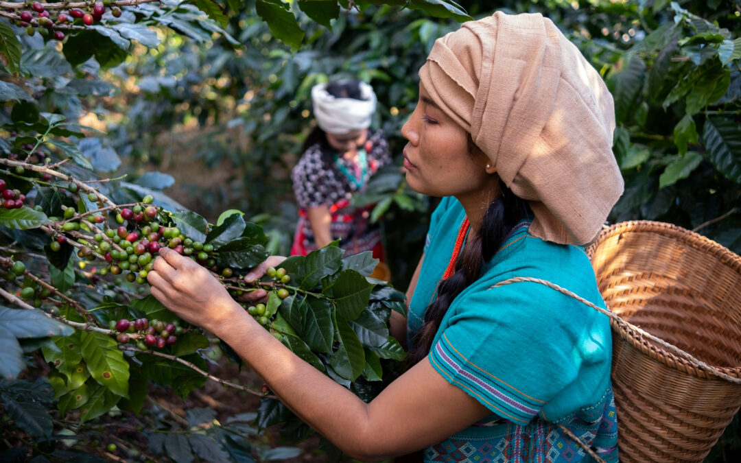 International Coffee Day – Women in Coffee