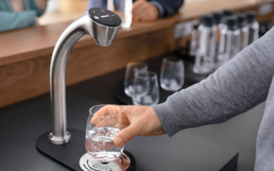 Brita Tap Service