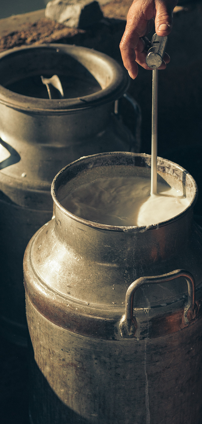 Milk Churn Milk Churn